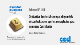 Solidaridad territorial como paradigma de la descentralización: aportes conceptuales para una nueva Constitución