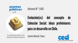 Evolución(es) del concepto de Cohesión Social: ideas preliminares para su desarrollo en Chile
