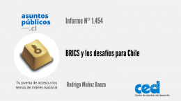 BRICS y los desafíos para Chile